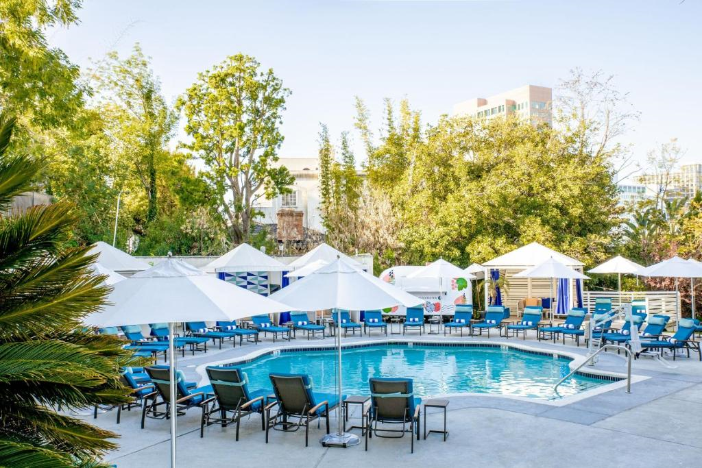 Outdoor pool with sun loungers.