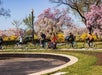 A group of cyclists ride along a park path lined with blooming trees and flowers on a sunny day.