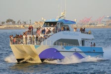 West Harbor LA Narrated Harbor Cruise from San Pedro in San Pedro, California
