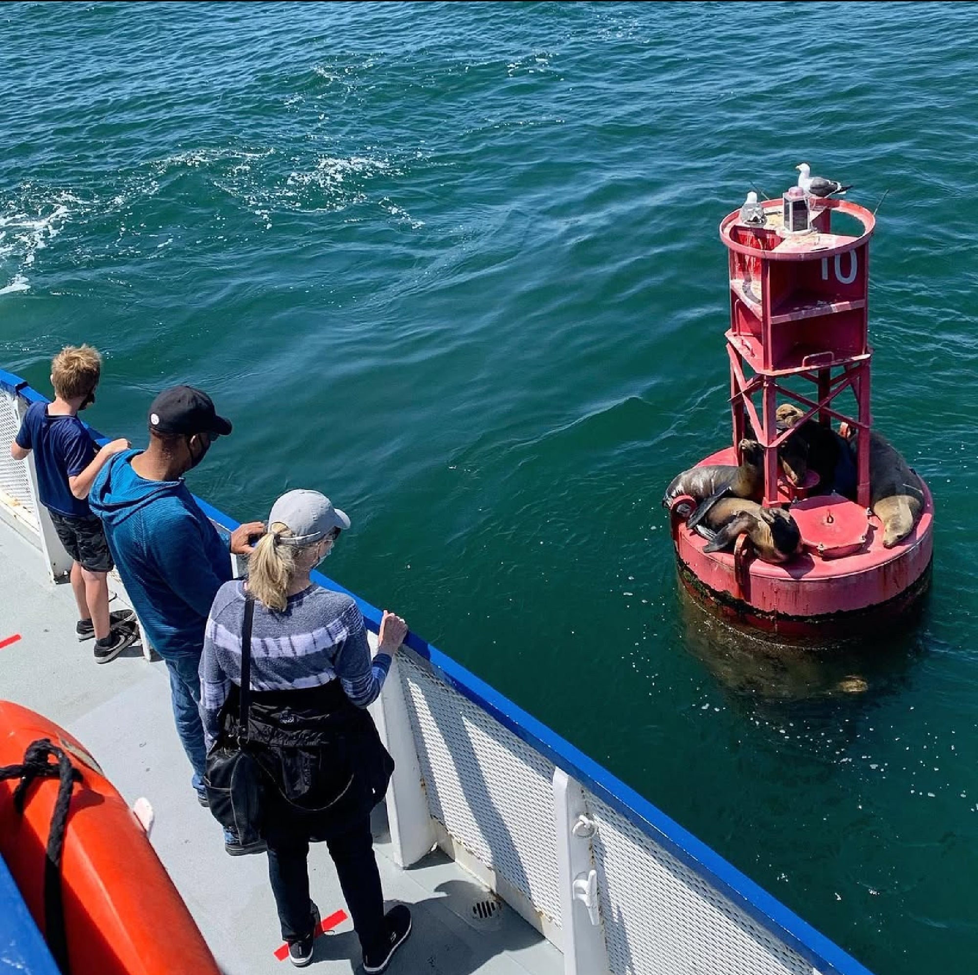 People on a boat observe several sea lions resting on a red buoy floating in the water.