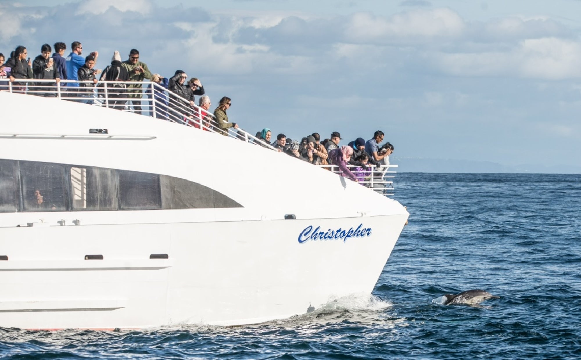 A group of people on a white boat named Christopher watch a dolphin swimming near the bow in the ocean.