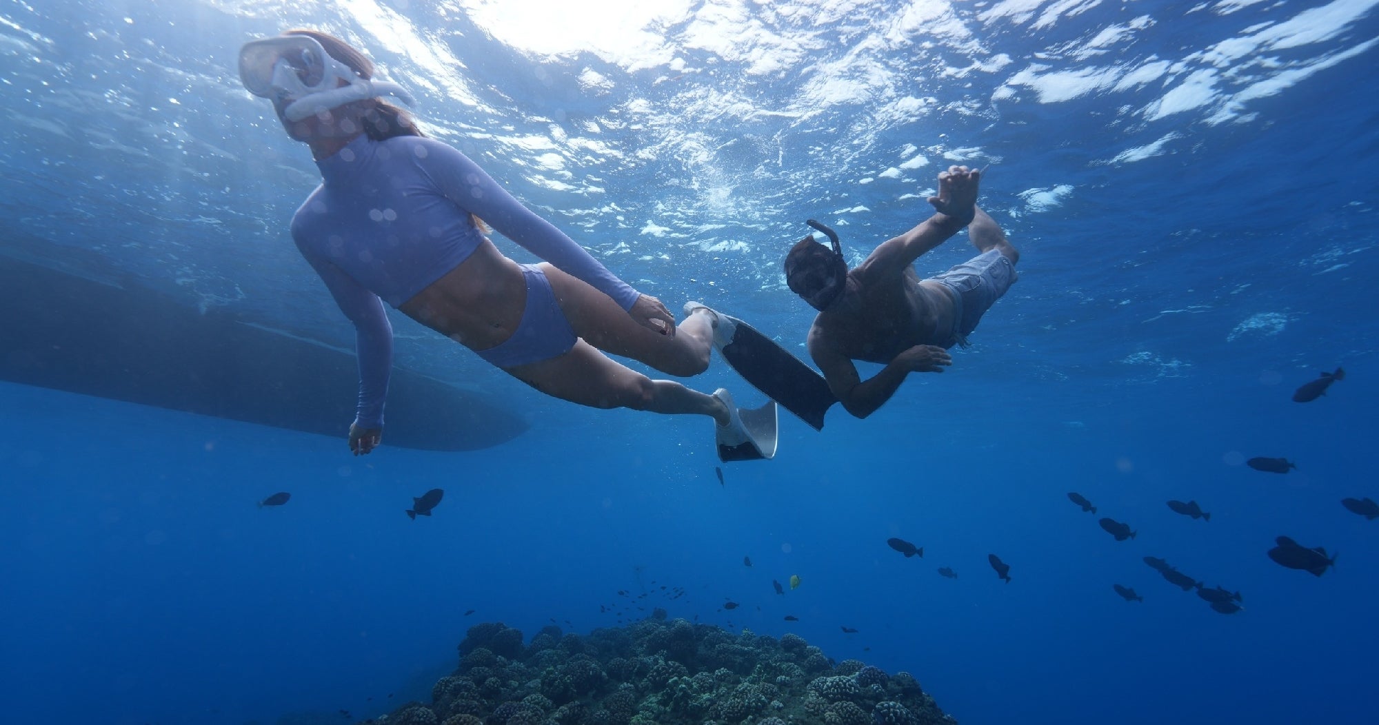 Snorkelers exploring vibrant reef waters off Waianae coast