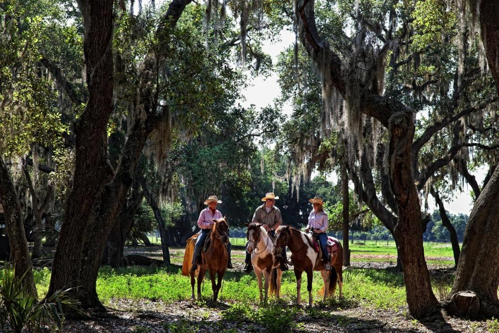 Guests enjoying horseback riding.