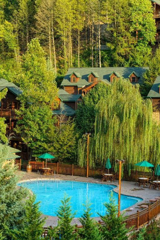 Swim in the crystal-clear outdoor pool.