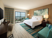 Hotel room with a king-size bed, desk, armchair, sofa, and balcony. Large window with a city view, wood-paneled wall, and contemporary decor.