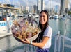 Whales and You - Whale Watching Oahu Tour in Honolulu, HI