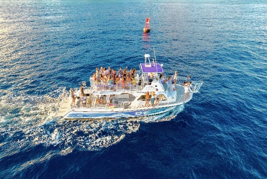 Whales and You - Whale Watching Oahu Tour in Honolulu, HI