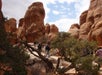View of hikers through trees on their way to the White Rim Trail in Canyonlands National Park on a sunny day