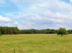 Ranch Buggy Tour