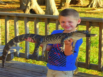 Wild Florida Drive-Thru Safari and Gator Park Admission in Kenansville, Florida