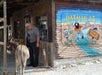 A man in a gray shirt in front of a building looking at a donkey with a mural for Oatman AZ next to them.