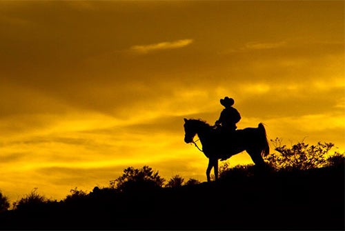 Wild West Horseback Adventures in Las Vegas, Nevada