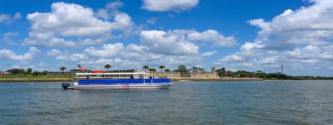 Wildlife Adventure: Boat Cruise & Kayak Eco Tour in St. Augustine, Florida