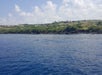Kohala coastline