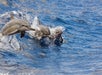 Three dolphins leap out of the ocean, creating splashes as they swim quickly through the blue water.