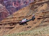 A helicopter flies low over the rocky, multicolored layers of the Grand Canyon, with steep cliffs and desert terrain in the background.