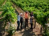 Wine Lover's Tour in San Francisco, California