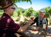 Wine Lover's Tour in San Francisco, California