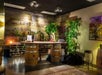 A wine tasting room with a wooden bar supported by two barrels, surrounded by plants and wine racks, with warm lighting and rustic decor.