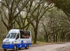 A Kelly Tours van with passengers is parked on a dirt road lined with large, moss-covered oak trees on both sides.