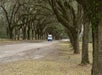 Wormsloe Plantation & Bonaventure Cemetery Tour in Savannah, GA