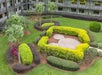 Lush Tropical Landscaping.