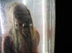 Zombie Zone Escape Room in Myrtle Beach, SC