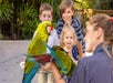Three kids looking excitedly at a zoo keeper holding two bright green macaws on a sunny day at ZooTampa.