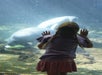 A young girl with braided hair looks through glass at two manatees swimming in an aquarium.
