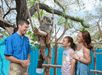 A mother and daughter enjoying their time watching the lovely Koala and listening interesting facts from the zookeeper at ZooTampa at Lowry Park.