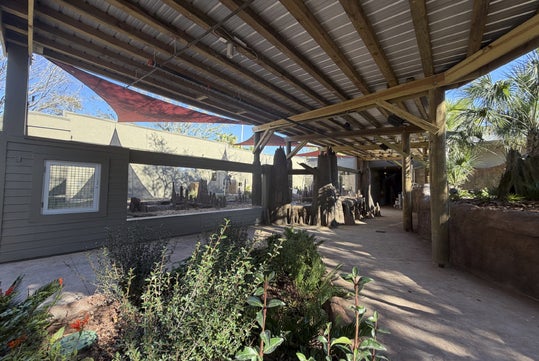 A covered outdoor walkway with plants on both sides, wooden beams overhead, and a glass-enclosed animal habitat to the left.