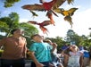 Guests enjoyint the Macaw Flyover at ZooTampa in Tampa, Florida.
