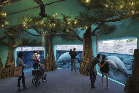 People observe manatees through large aquarium windows in an indoor exhibit designed to look like a forest, with artificial trees and overhead lighting.