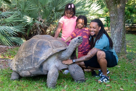 A man and two children pet a large tortoise on grass near some trees and bushes.