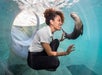 A woman crouches inside a clear underwater tunnel, smiling and reaching toward an otter swimming past her in the water.