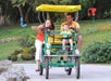 Safari cycle: A cool way to see Zoo Miami for the whole family.