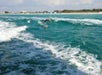 Dolphins jump with the beach in the background