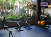 Gym room with exercise bikes and rowing machine in front of large windows, facing a lush garden. TV on wall shows news program.