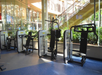 A row of gym machines lined up in a well-lit fitness center, with large windows and lush greenery outside.