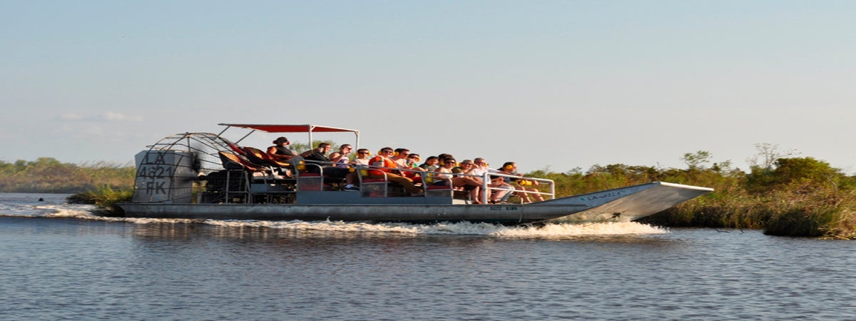 Large Airboat Swamp Tour from Downtown New Orleans in New Orleans, Louisiana