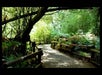 Muir Woods & Sausalito Half Day Tour with Incredible Adventures in San Francisco, CA