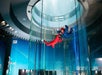 An instructor and a guest with their arms out flying high in the air in the skydiving tunnel at iFly.