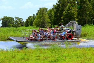 Wild Florida Airboat Ride with Transportation in Orlando, Florida