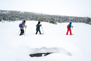 Alaska Winter Snowshoeing Adventure in Anchorage, Alaska