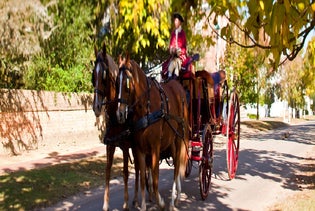 America's Historic Triangle Combo Pass in Williamsburg, Virginia