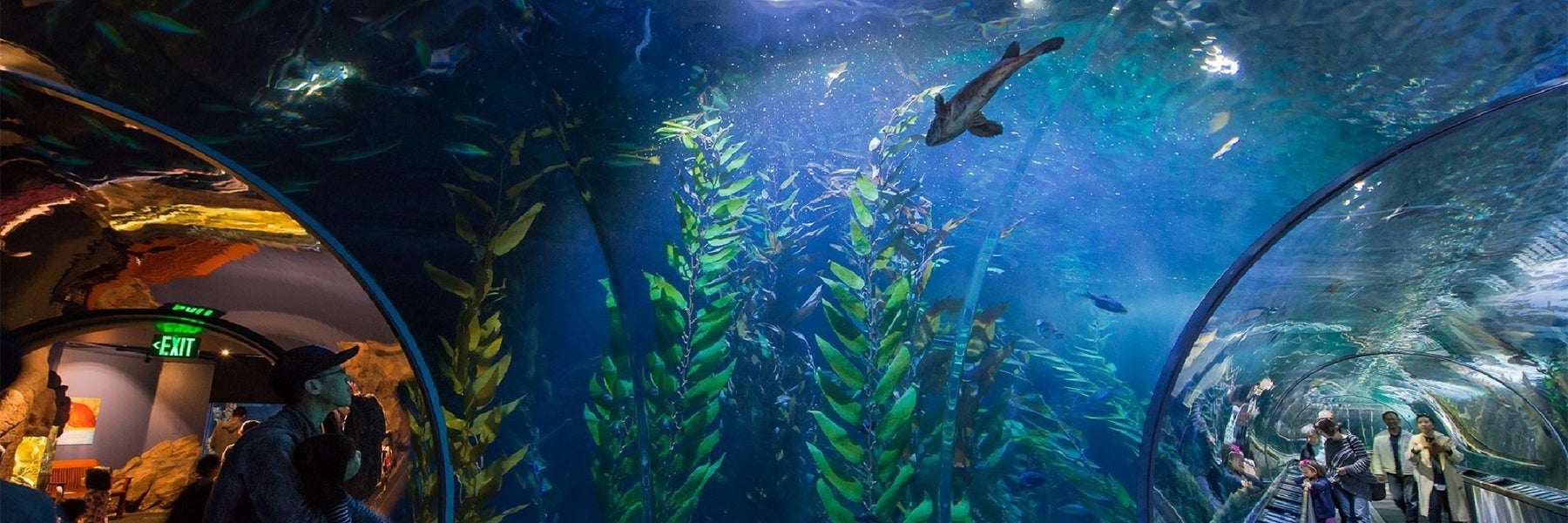 Aquarium of the Bay  in San Francisco, California