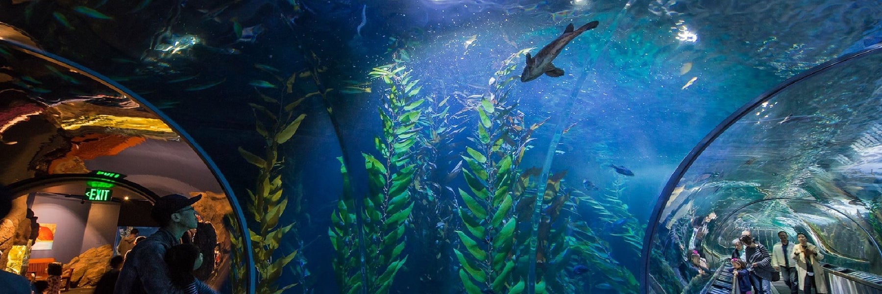 Aquarium of the Bay  in San Francisco, California