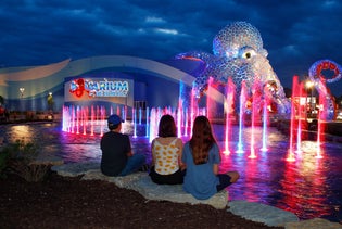 Aquarium at the Boardwalk in Branson, Missouri