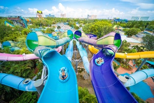 Aquatica Orlando - SeaWorld's Water Park in Orlando, Florida