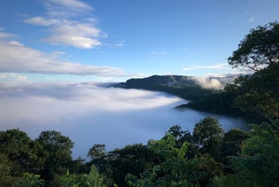 Autumn Color in the Blue Ridge Photography Experience in Asheville, North Carolina